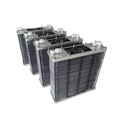 Hydrogen Fuel Cell Stack