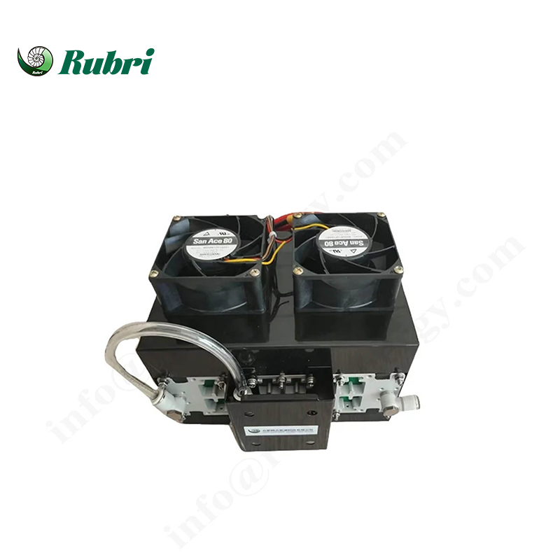 100w Air-cooled fuel cell